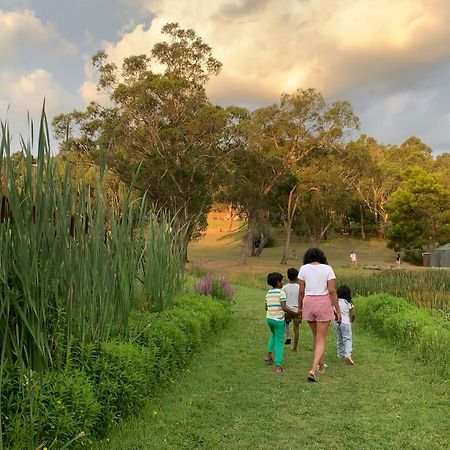 Iluka Retreat Glamping Village 红山南 外观 照片