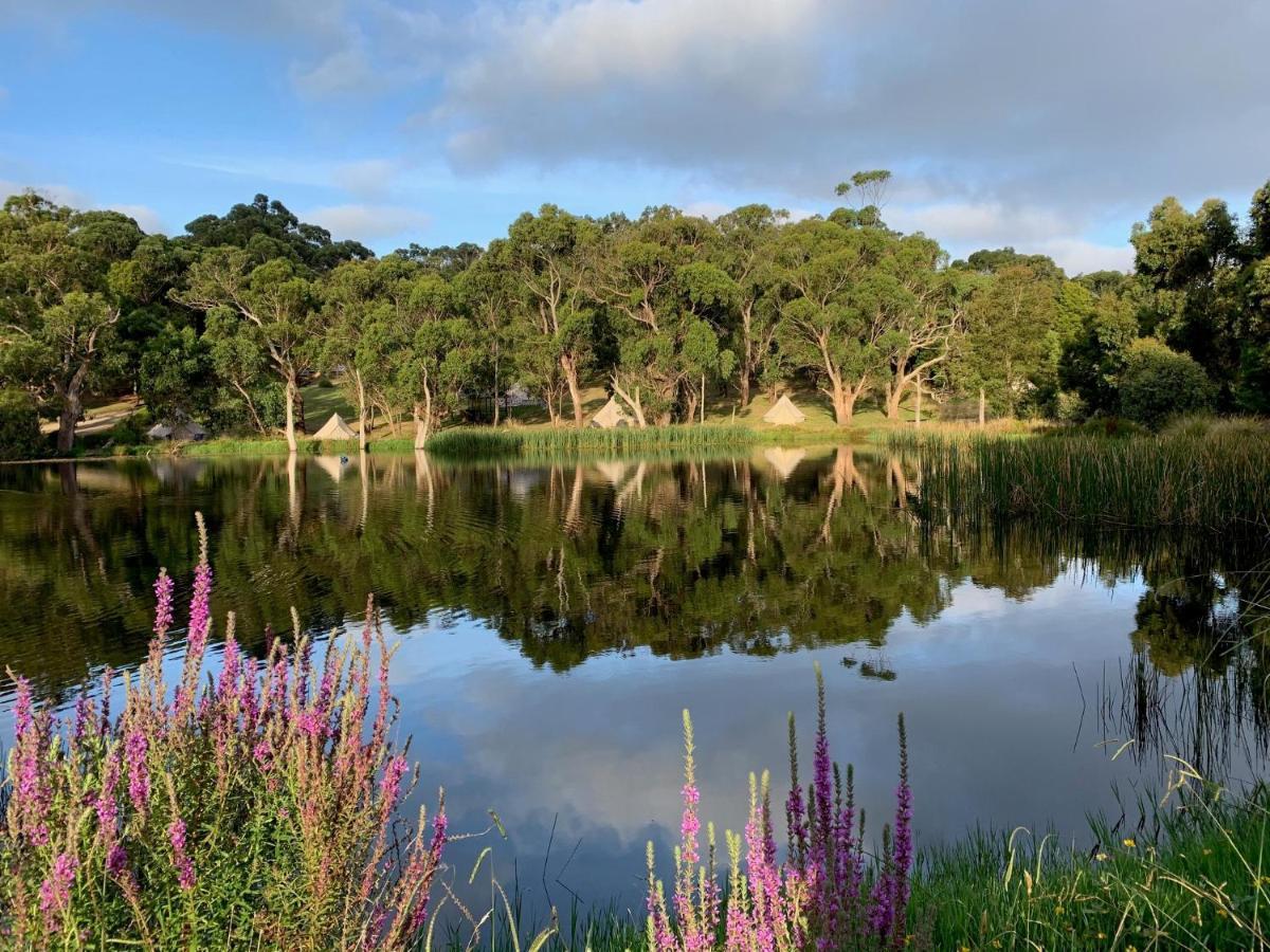 Iluka Retreat Glamping Village 红山南 外观 照片