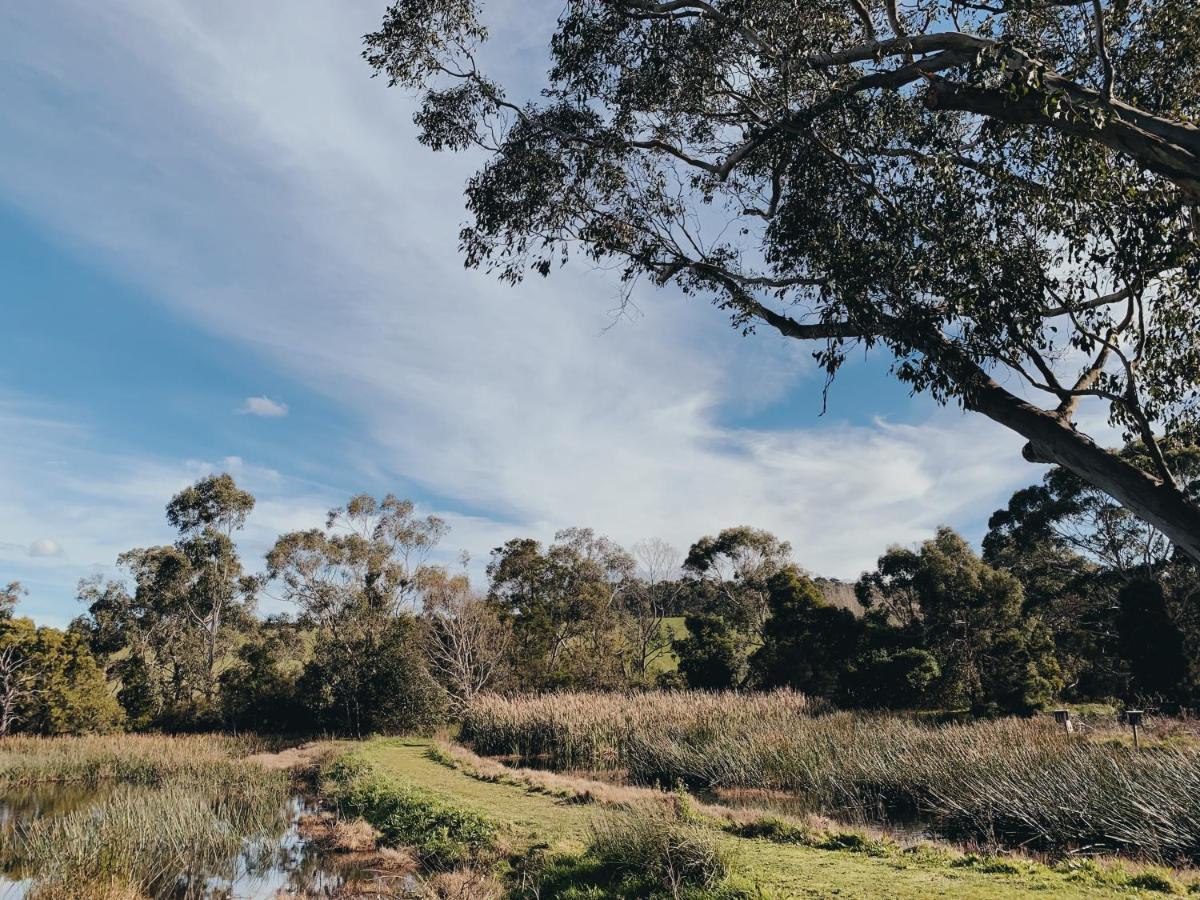 Iluka Retreat Glamping Village 红山南 外观 照片