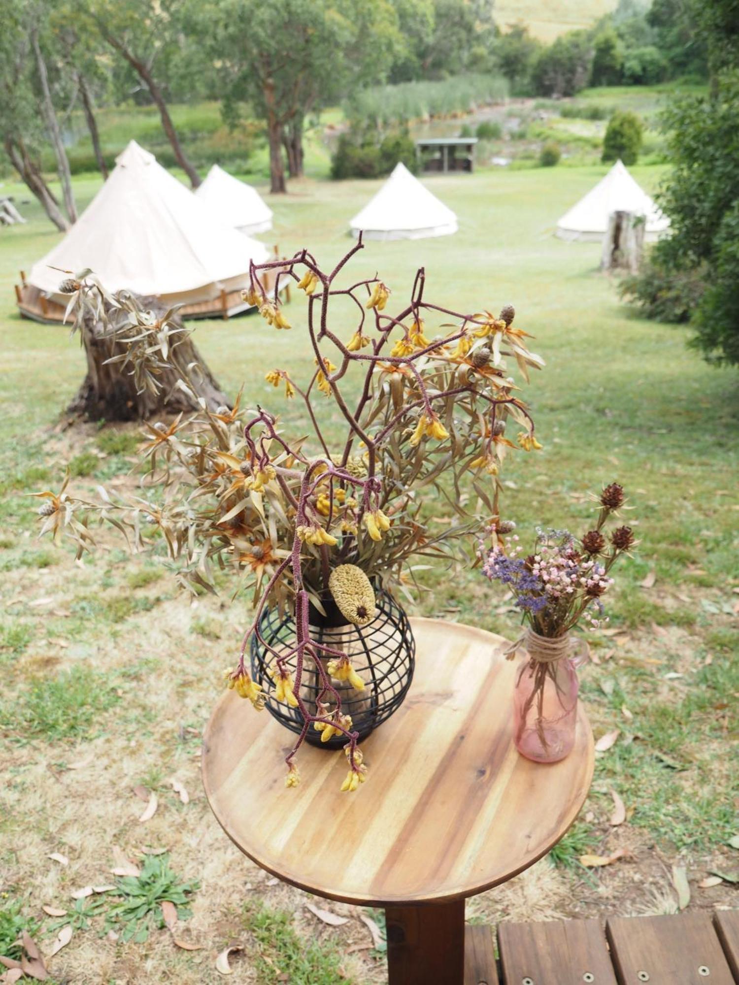 Iluka Retreat Glamping Village 红山南 外观 照片