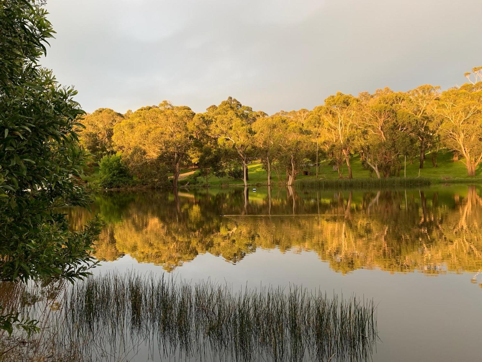 Iluka Retreat Glamping Village 红山南 外观 照片