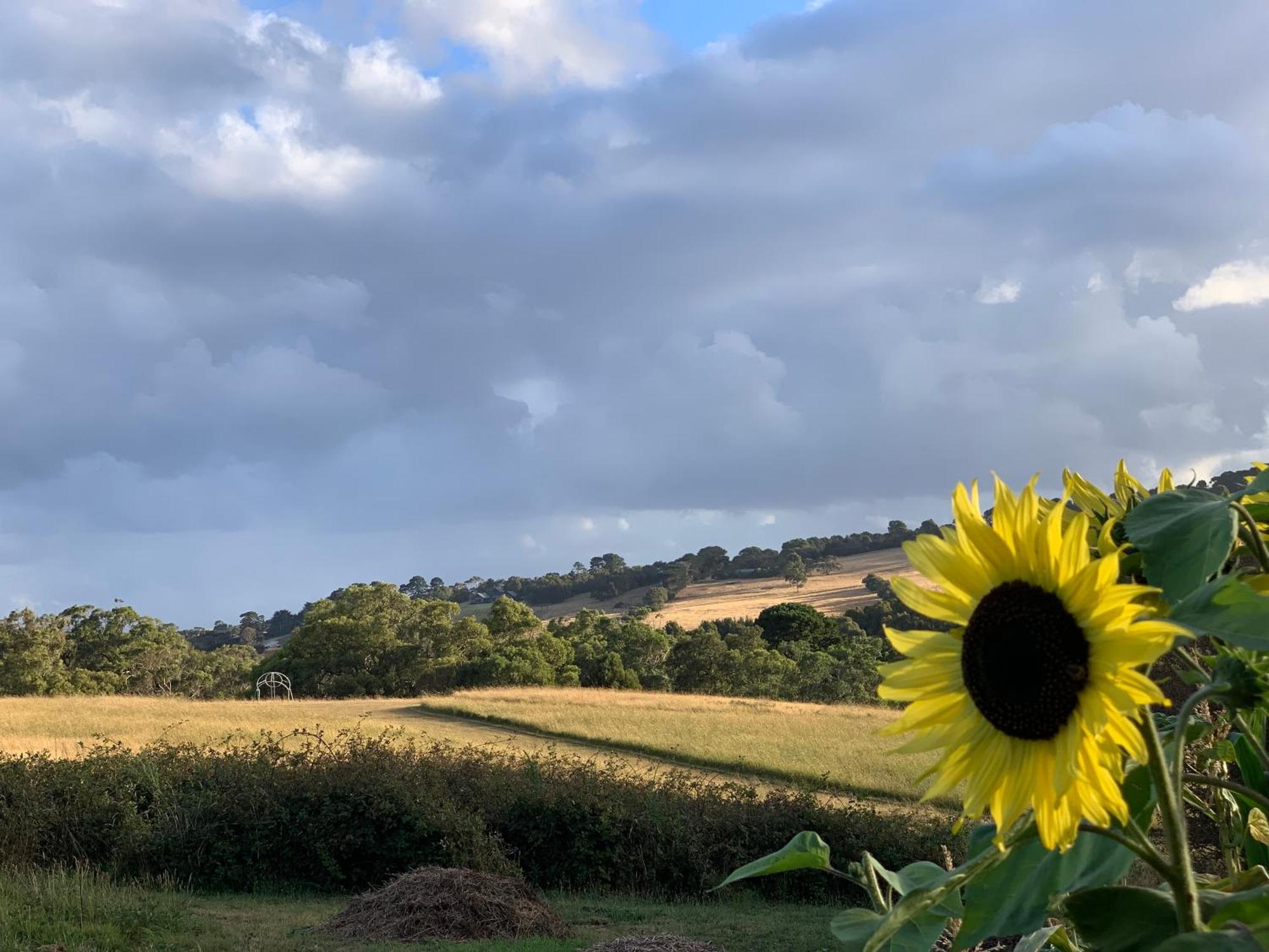 Iluka Retreat Glamping Village 红山南 外观 照片