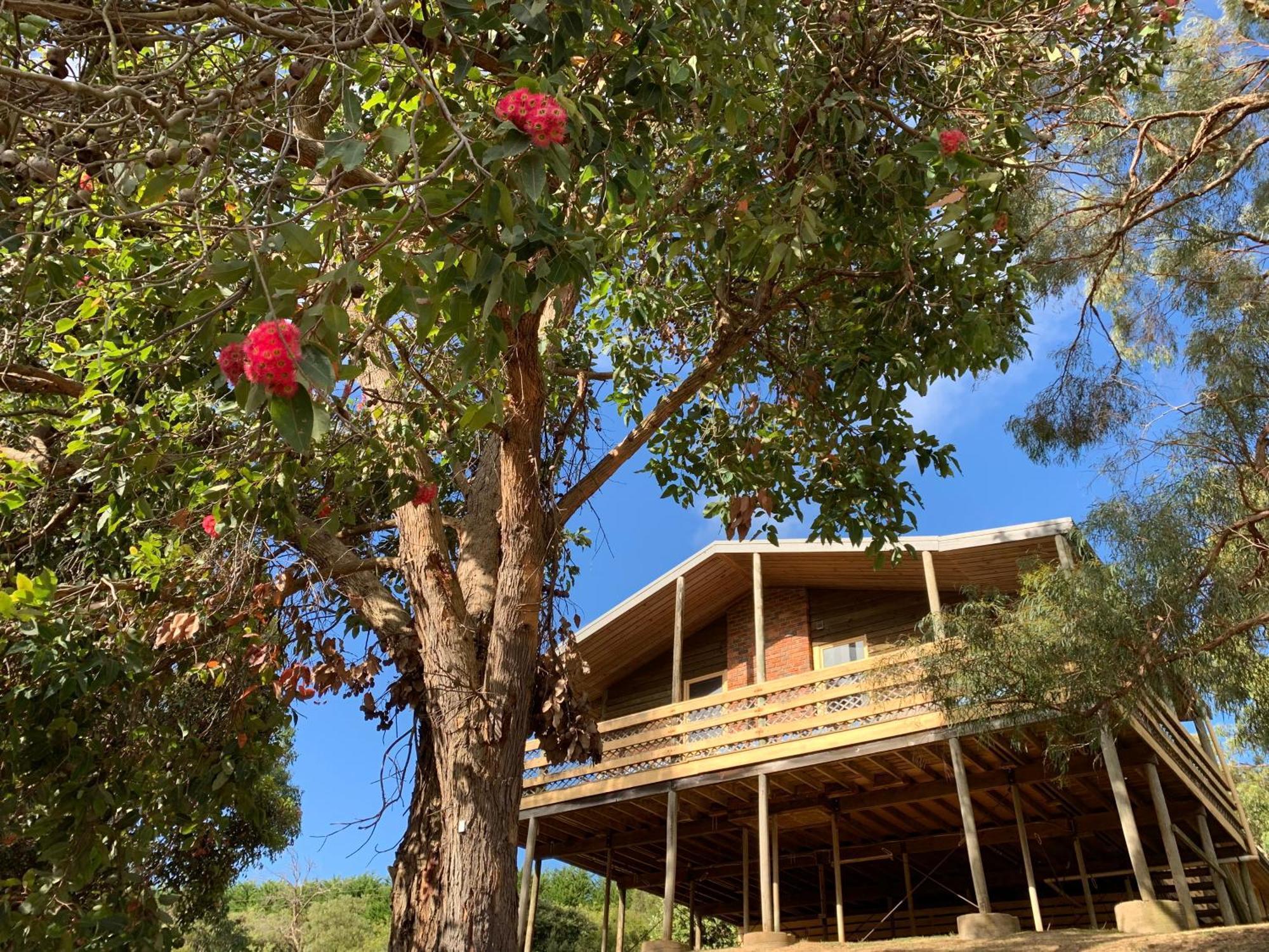 Iluka Retreat Glamping Village 红山南 外观 照片